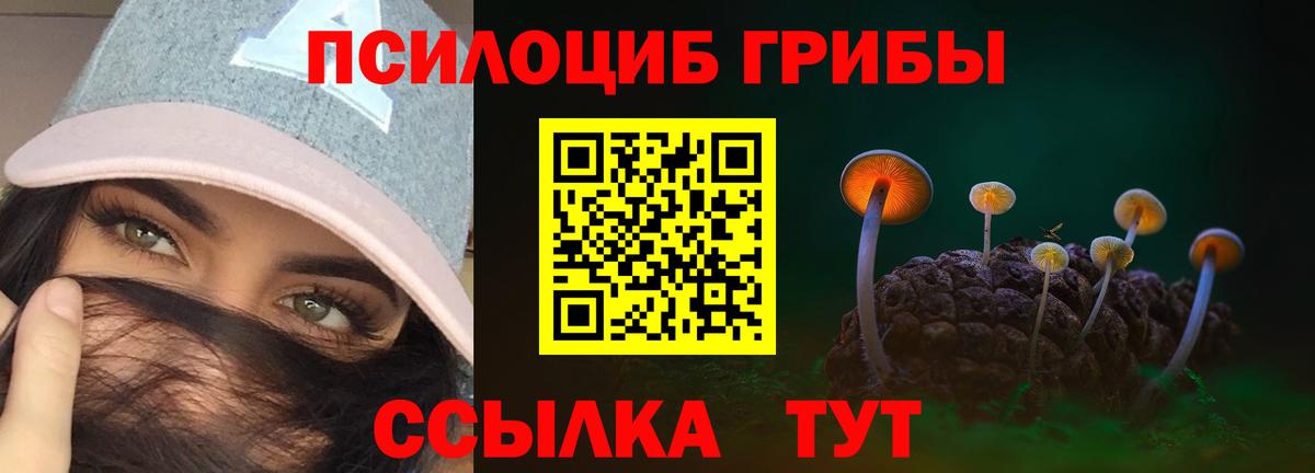 Галлюциногенные грибы Psilocybe  Вход с VPN  Севастополь  Псилоцибиновые грибы Psilocybe 